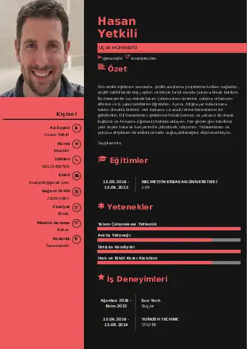 Havacılık Ve Uzay Uçak Mühendisi Cv Örnekleri cv indir